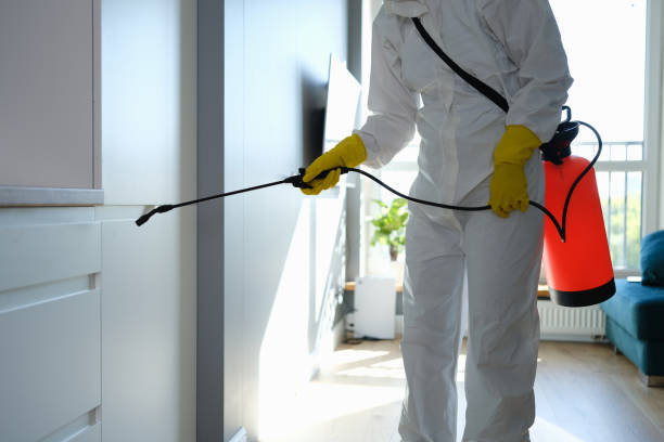 Best Commercial Mold Remediation in Southwest Greensburg, PA